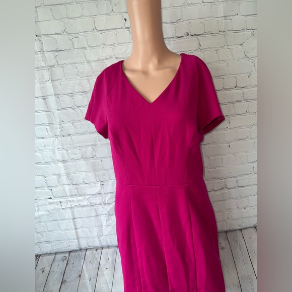 The Limited Dark Pink Sleeveless dress size 10 - Picture 2 of 14